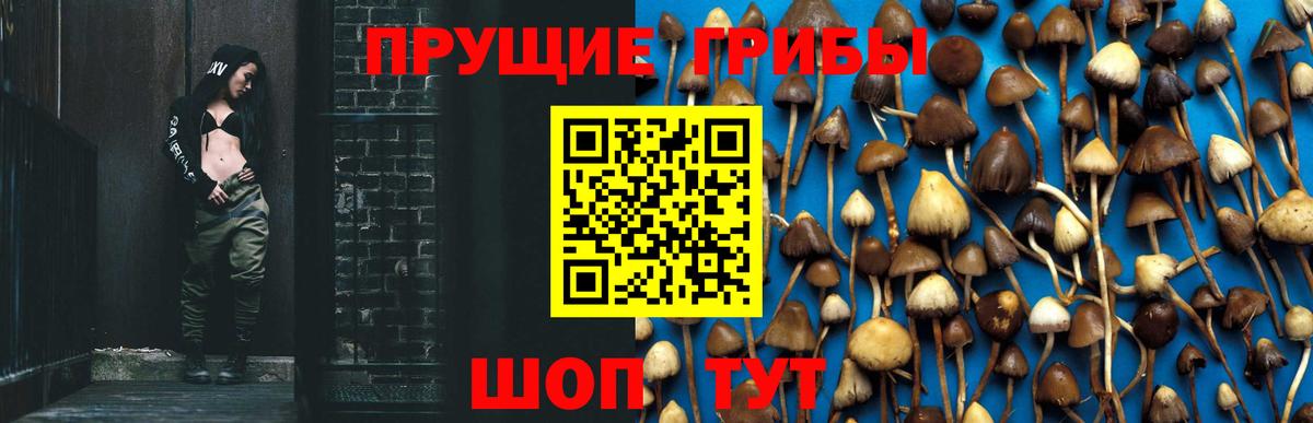 Псилоцибиновые грибы прущие грибы Лянтор